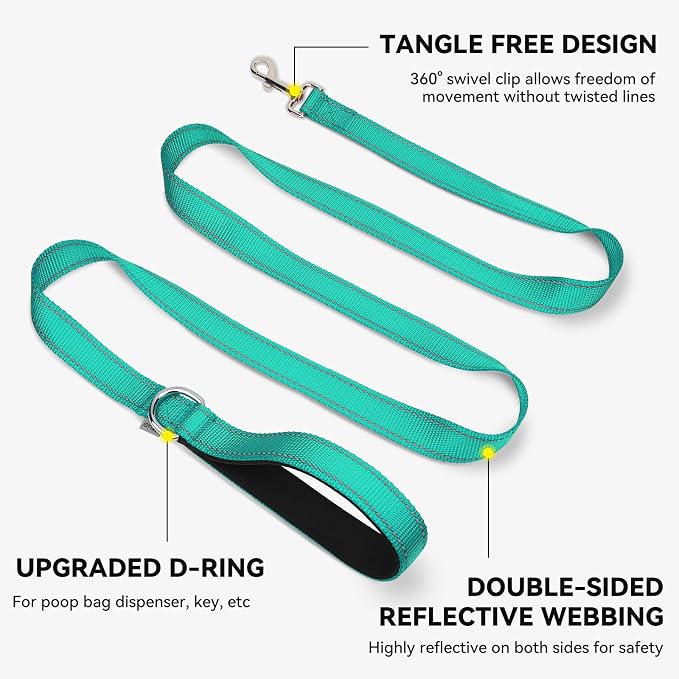 Joytale Dog Leash, 6 FT Double-Sided Reflective, Padded Handle Nylon Heavy Duty Leashes for Medium & Large Dogs Walking, Teal