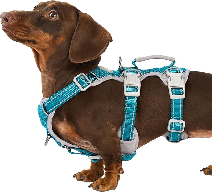 Huntboo Escape Proof Dog Harness, Escape Artist Harness, Fully Reflective Harness with Padded Handle, Breathable, Durable, Adjustable Vest for Small Dogs Walking, Training, and Running Gear (Teal,S)