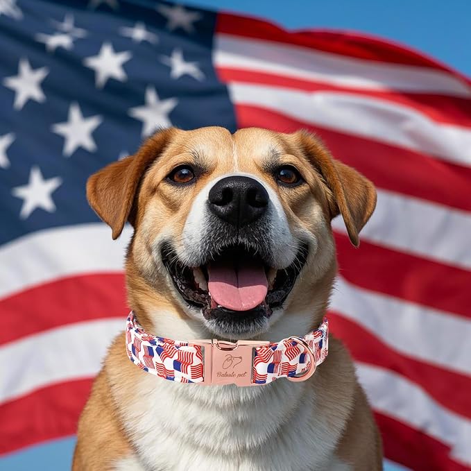 American Flag Dog Collar - 4th of July Dog Dog Collars for Small Dogs, Adjustable Independence Day Metal Buckle Patriotic Dog Collar S