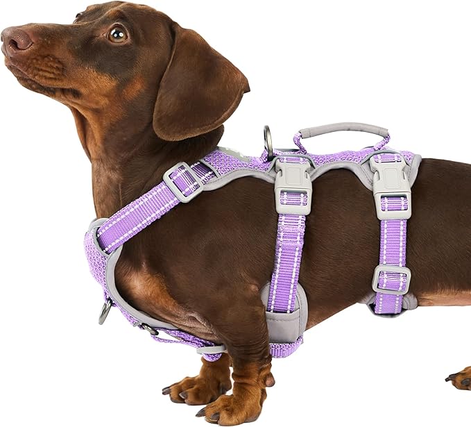 Huntboo Escape Proof Dog Harness, Secure Dog Harness No Escape,Fully Reflective Harness with Handle,Breathable,Durable,Adjustable Vest for Small Dogs Walking,Training & Running Gear(Lavender Purple,S)