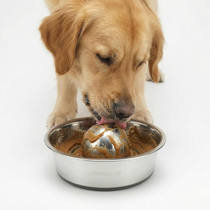 SUS304 Stainless Steel Dog Food Slow Feeder Ball - 2.5in - Slows Fast Eating, Prevents Choking, Bloating & Obesity - Fun Feeding for All Dogs - Durable, Smooth & High Adaptability (Small 2.5Inch)
