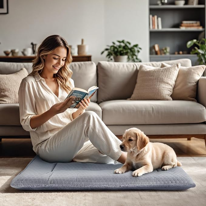 Dog Bed Mat, Crate Pad Reversible,Soft Kennel Pad, Washable Dog Crate Mat (Cool and Warm),Pet Sleeping Mattress for Small Medium Dogs XB009 (18''x13'',Grey)