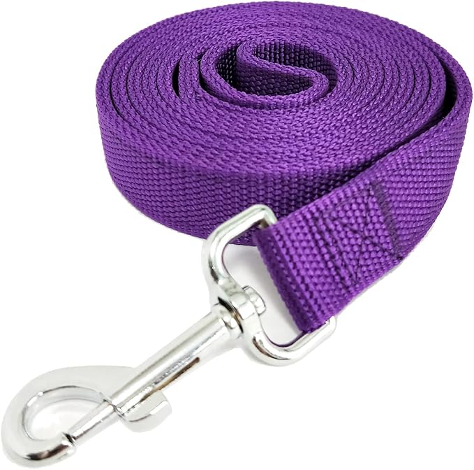 Strong Nylon Dog Leash with 2-Layer, 4 FT/ 6 FT/ 7FT Long, 1 Inch Wide for Medium Large Dogs (Purple, 1'' x 2 FT)