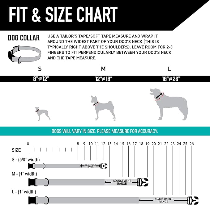 Wolfgang Heavy Duty, Adjustable Dog Collar with Quick Release Nylon Buckle for Walking & Training, BuenaOnda Print, Small