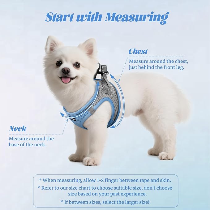 YIMEIS Dog Harness and Leash Set, No Pull Soft Mesh Pet Harness, Reflective Adjustable Puppy Vest for Small Medium Large Dogs, Cats (Greyblue, Small (Pack of 1))