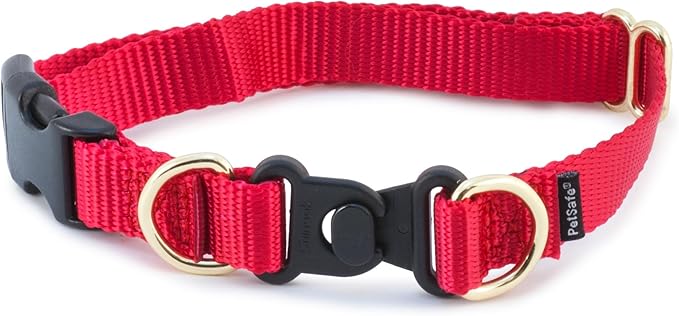 PetSafe KeepSafe Break-Away Collar 3/4 in Wide, Medium, Red Prevent Collar Accidents for Your Dog or Puppy Improve Safety, Compatible with Leash Use, Adjustable Sizes