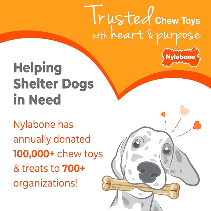 Nylabone Puppy Chew Key Ring Toy, Toys for Teething Puppies, Multi Color, Bacon Flavor, Small - Up to 25 lbs, 1 Count