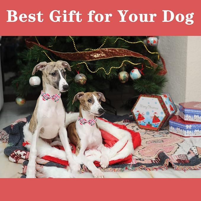 Unique style paws Dog Collar with Bow Pink & Green Plaid Dog Collar Best Gifts for Small Medium Large Dogs -M