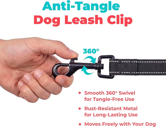 Best Pet Supplies Voyager Reflective Dog Leash or Collar with Neoprene Handle, for Small, Medium, and Large Breed Puppies, Cute and Heavy Duty for Walking, Running and Training - Black (Leash), L