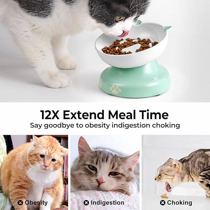 Y YHY Slow Feeder Cat Bowl, Ceramic Elevated Cat Bowl Tilted Design Slow Feeder for Dog and Cat for Dry and Wet Food, Green