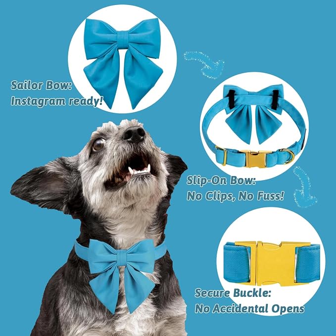 Maca Bates Sky Blue Dog Collar with Cute Solid Sailor Bow Tie for Extra Small Girl Boy Dogs,Adjustbale Durable Breakaway Soft Collars with Bowtie for Female Male Puppy,Pet with Metal Buckle