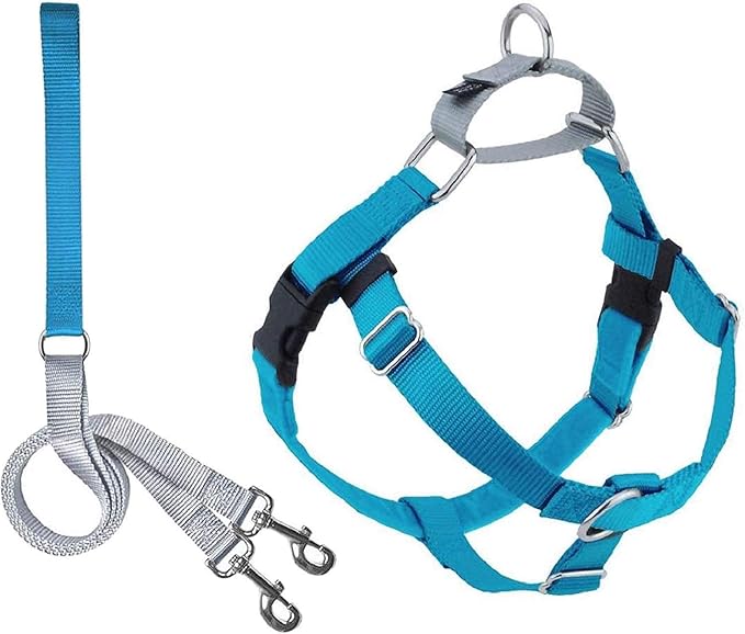 2 Hounds Design Freedom No Pull Dog Harness, Adjustable Harness and Leash Set, Easy Walking & Comfortable Control, Fits Small, Medium & Large Dogs, Solid Colors, Made in USA, 1" LG, Turquoise