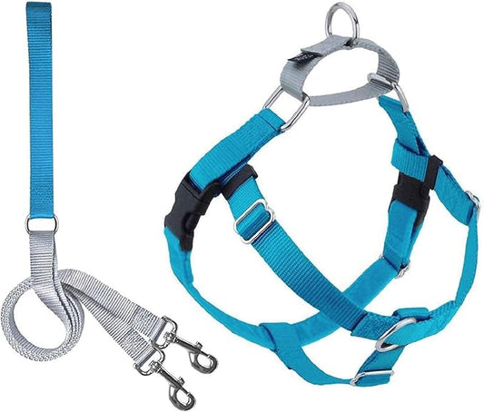 2 Hounds Design Freedom No Pull Dog Harness, Adjustable Harness and Leash Set, Easy Walking & Comfortable Control, Fits Small, Medium & Large Dogs, Solid Colors, Made in USA, 1" LG, Turquoise