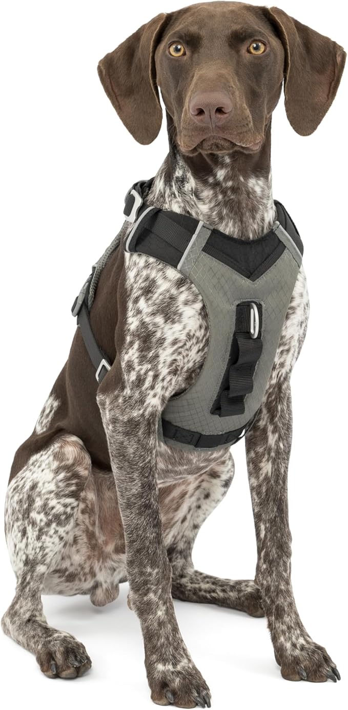 Kurgo Journey Air Dog Harness - Secure Fit for Active Dogs - Padded Chest - Lightweight Ripstop Fabric - Breathable Mesh - Reflective Trim - Back Assist Handle - Black - Medium