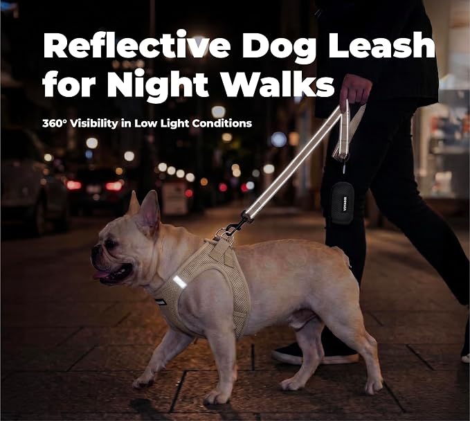 Best Pet Supplies Voyager Reflective Dog Leash or Collar with Neoprene Handle, for Small, Medium, and Large Breed Puppies, Cute and Heavy Duty for Walking, Running and Training - Khaki (Leash), S