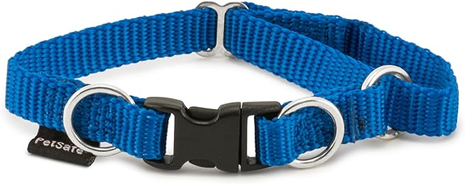 PetSafe KeepSafe Break-Away Collar, 3/4 in Wide, Small, Royal Prevent Collar Accidents for Your Dog or Puppy Improve Safety, Compatible with Leash Use, Adjustable Sizes