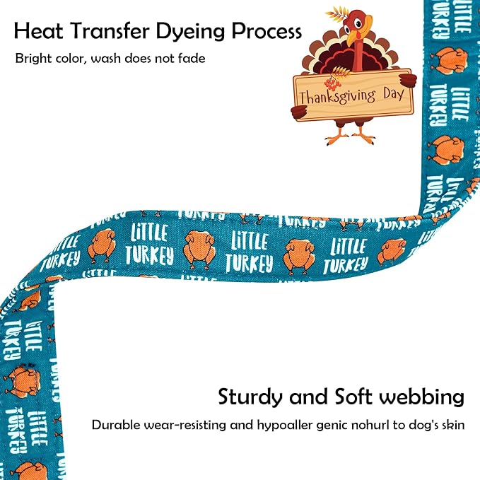 Lionheart glory Thanksgiving Dog Collar-Turkey Fall Cute Dog Collars with Plastic Buckle Duty Soft Adjustable Collar for X-Small Puppy Dogs Girls Boys Collars Party Pet Gift