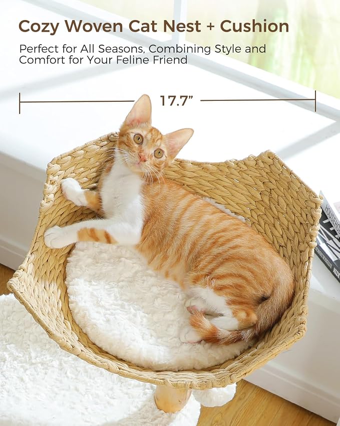MUTTROS Modern Cat Tree Tower for Large Cats, Wood Cat Tower with Natural Scratching Post, Solid Wood Condo, Real Branch Luxury Cat Furniture with Curved Bed, Top Basket, White