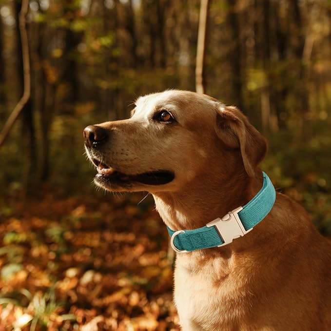 Soft Corduroy Dog Collar and Leash Set Adjustable Durable Dog Collars with Metal Buckle and Lead for Large Dogs,Dark Green
