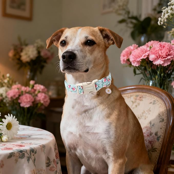 DOGWONG Floral Dog Collar, Cute Adjustable Flower Collar, Girl Female Spring Summer Dog Collar with Strong Plastic Buckle for Small Medium Large Dogs,L