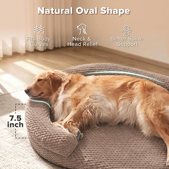 JOEJOY XXL Orthopedic Dog Beds, Extra Large Washable Waterproof Oval Dog Bed with with Removable Cover, Egg-Crate Memory Foam Pet Bed with Bolster Sides & Non-Skid Bottom, Brown, 48''x35''