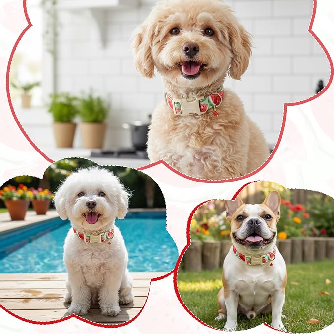 Summer Dog Collar with Watermelon, Adjustable Cotton Puppy Collars for Small Medium Large Dogs, Cute Girl or Boy Dog Collar Ideal for Gifts,Pet Accessory,L
