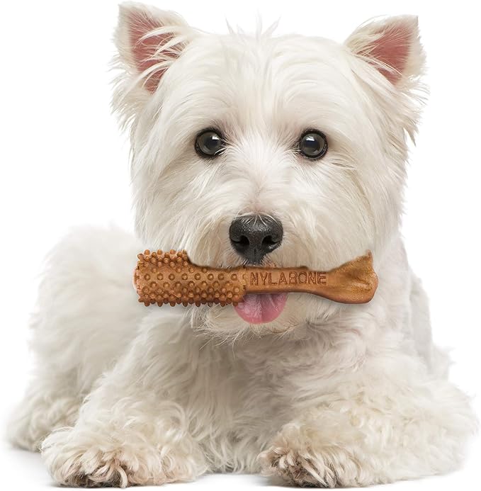 Nylabone Nutri Dent Dog Dental Chews - Natural Dog Teeth Cleaning & Breath Freshener - Dental Treats for Dogs - Filet Mignon Flavor, Small (28 Count)