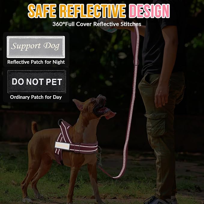 Lukovee No Pull Dog Harness and Leash Set - Adjustable Soft Padded Vest with Front Clip for Easy Control, Reflective Durable Harness for Safe Daily Training Walking for Medium Large Dogs (L, PI)