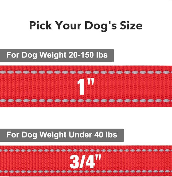 Taglory Dog Leash for Small Dogs, Double-Sided Reflective for Night Walking, Neoprene Padded Handle, 3/4 inch by 5 ft, Lightweight for Small Medium Breeds up to 30 lbs, Red