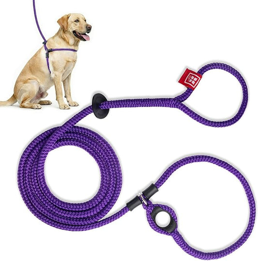 Harness Lead No Pull Dog Harness and Leash Set, Anti Pull Dog Harness, One-Piece Cushioned Rope Safely Prevents Escaping and Pulling (Medium/Large, Purple)