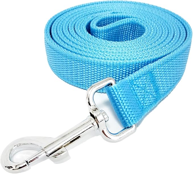 Strong Nylon Dog Leash with 2-Layer, 4 FT/ 6 FT/ 7FT Long, 1 Inch Wide for Medium Large Dogs (Sky Blue, 1'' x 2 FT)