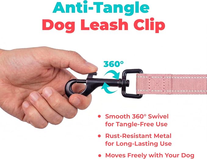 Best Pet Supplies Voyager Reflective Dog Leash or Collar with Neoprene Handle, for Small, Medium, and Large Breed Puppies, Cute and Heavy Duty for Walking, Running and Training - Pink (Leash), L