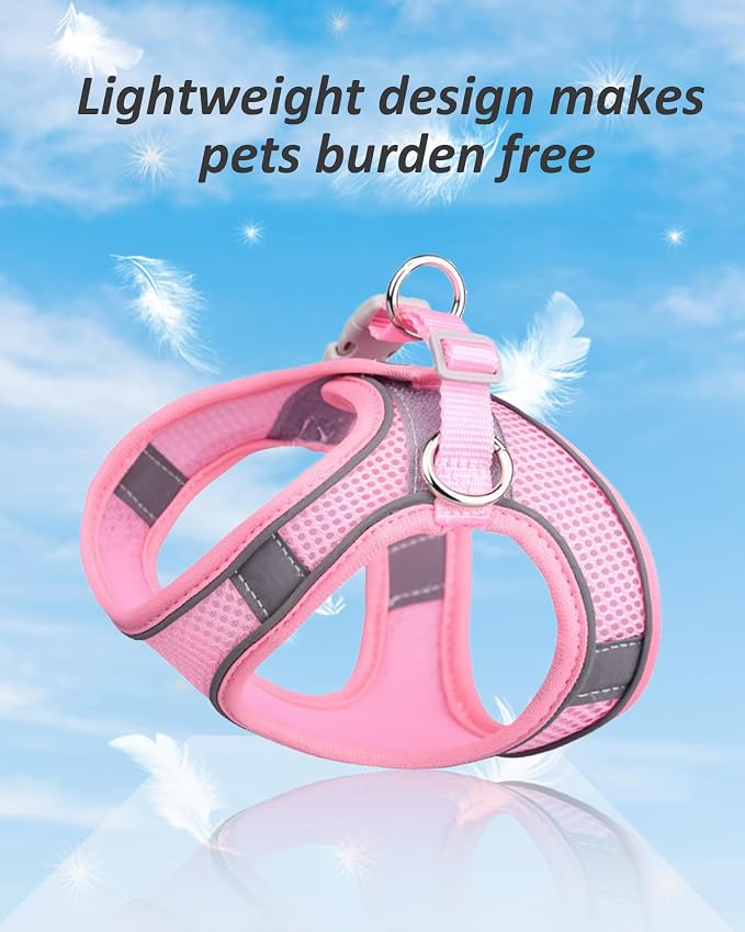 Solmoony Dog Harness for Small Medium Dogs No Pull, Puppy Harness and Leash Set, Puppy Harness, Step in Harness for Small Dogs,mesh Dog Harness. (Black, M)