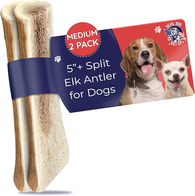 Devil Dog Pet Co. Split Elk Antlers for Dogs, Natural Dog Chew with Exposed Marrow - Long Lasting and Odor Free - USA Sourced - Cleaner Teeth, Anxiety & Boredom Relief - Medium 5"+ 2 Pack