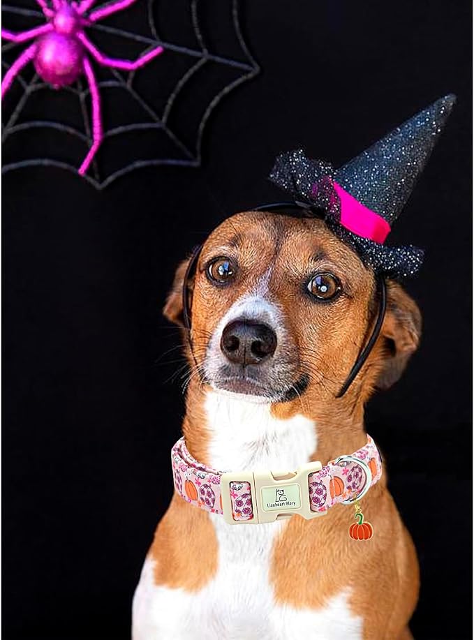 Lionheart glory Halloween Dog Collar-Pumpkin Floral Fall Pink Dog Collars with Cute Pendant Soft Adjustable Collar for X-Small Puppy Dogs Female Male Collars Party Pet Gift
