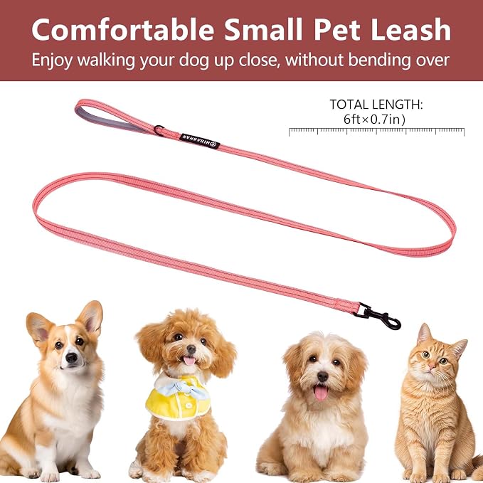 Reflective 6 FT Dog Leash, Premium Traditional Style Puppy Leash with Easy to Use Collar Hook for Small, Medium, and Large Breed Puppies (Pink, 3/4 in x 6 ft)