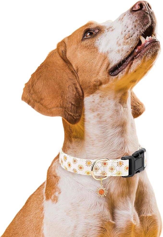 Personalized Dog Collars,Adjustable Puppy Collars with Safety Buckle for Small Medium Large Dogs,Cute and Unique Pink Cherry Pattern Pet Collar for Boy Girl Dogs. (Beige Sun, Medium)