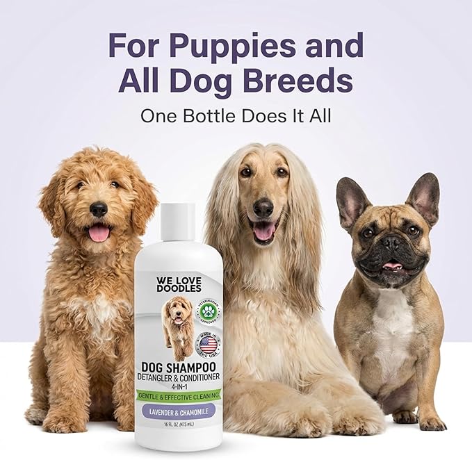 Dog Shampoo and Conditioner & Detangler - Best Goldendoodles, Poodles & Doodle Shampoo for Smelly Dogs - Sensitive Skin Puppy Shampoo - Made in The USA, Goldendoodle Must Haves (Shampoo & Conditioner)