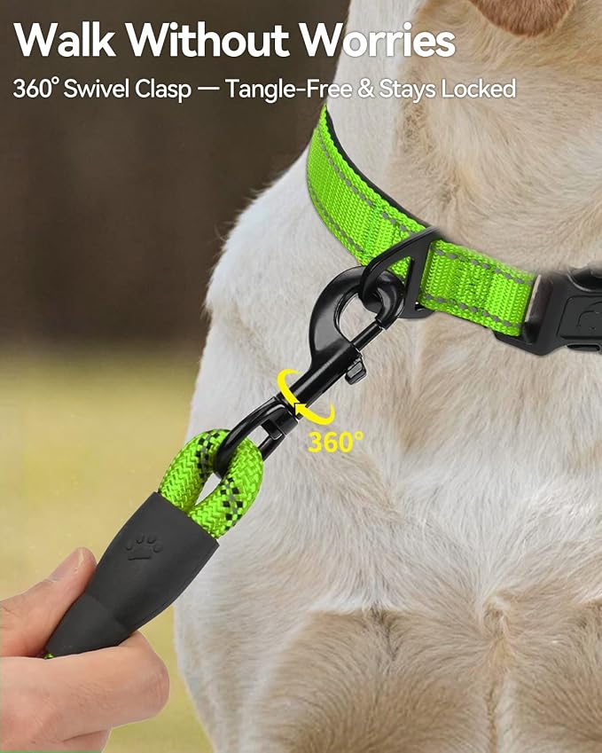 Joytale Dog Leash for Large Dogs, Heavy Duty Nylon Leashes with Comfortable Padded Handle and Highly Reflective Threads, Ideal for Walking and Training, Green, 6'×1/2''