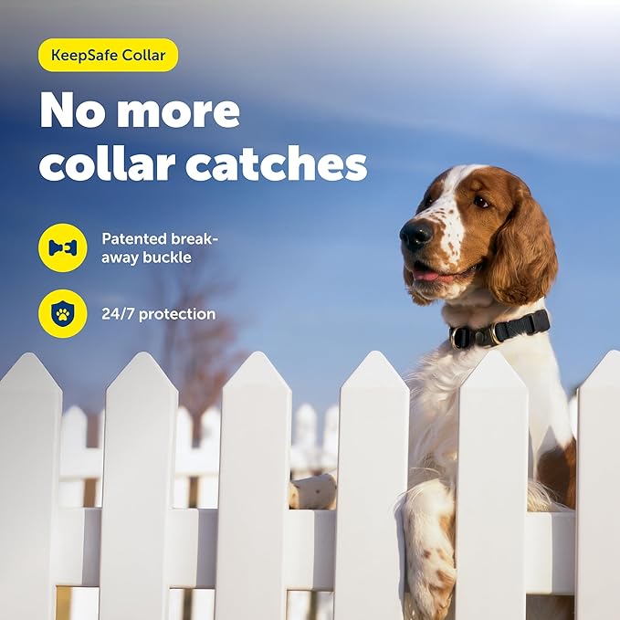 PetSafe KeepSafe Break-Away Collar 1 in Wide, Large, Black Prevent Collar Accidents for Your Dog or Puppy Improve Safety, Compatible with Leash Use, Adjustable Sizes