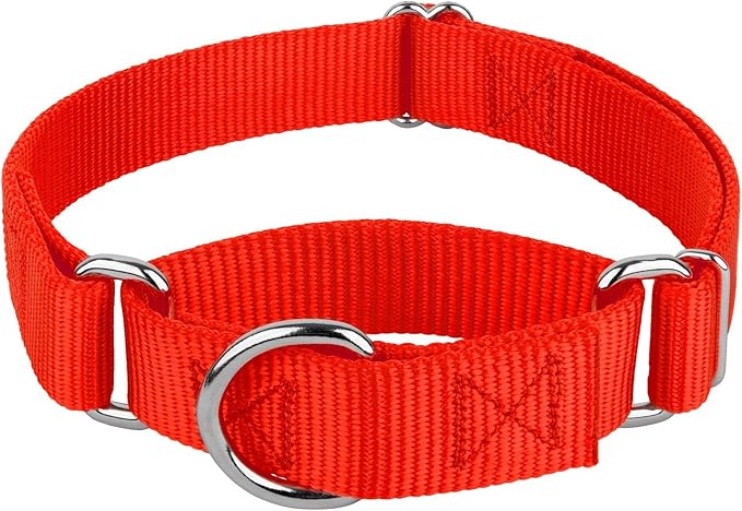 Country Brook Petz - Martingale Dog Collar - Heavy-Duty Training Collar with No Buckle - Service Dog Collar for All Pups - 20 Vibrant Colors (Hot Orange, 5/8 Inch, Extra Small)