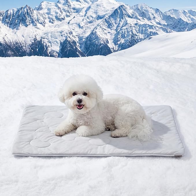 ZOMISIA Cooling Blanket for Small Dogs - Washable Cat Cooling Mat for Hot Weather, Travel Soft Pet Summer Essentials, Grey, 25"x35"