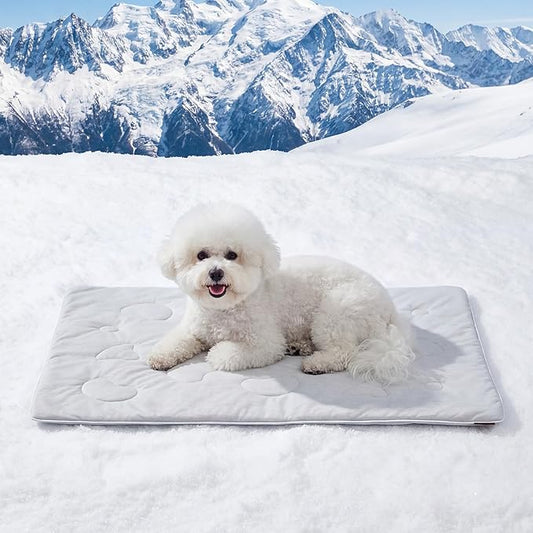 ZOMISIA Cooling Blanket for Small Dogs - Washable Cat Cooling Mat for Hot Weather, Travel Soft Pet Summer Essentials, Grey, 25"x35"
