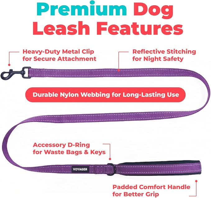 Best Pet Supplies Voyager Reflective Dog Leash or Collar with Neoprene Handle, for Small, Medium, and Large Breed Puppies, Cute and Heavy Duty for Walking, Running and Training - Purple (Leash), M