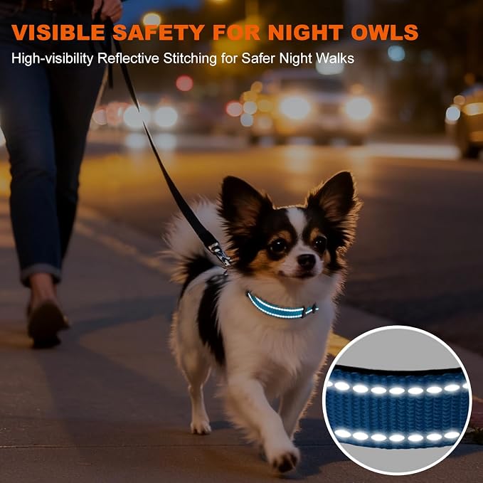 Taglory Reflective Dog Collar for Puppies with Escape-Proof Locking Buckle, Soft Neoprene Padded and Upgraded Zinc Alloy Ring, Adjustable for Chihuahua Yorkie, SkyBlue,XS
