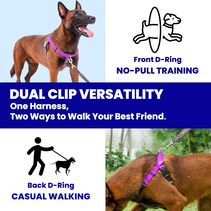 Freedom No Pull Dog Harness for Large Dogs, Easy Walker, Anti Pull with Two Stainless D-Rings, Comfortable, Sewn-in Instructions Tags for Easy Use (Purple, XL)