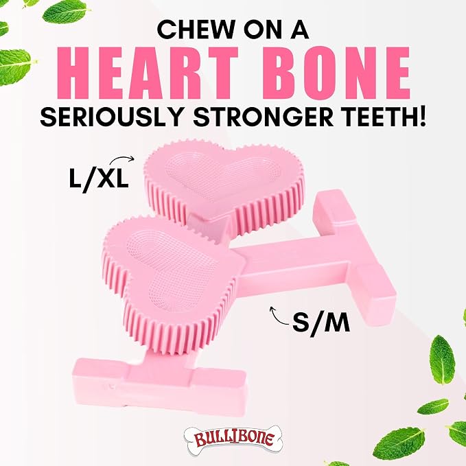 Bullibone Nylon Dog Chew Toy for Aggressive Chewers - Dental Hygiene Bone with Peppermint Flavor, Durable Tough Chew Toys for Large Dogs, Indestructible Dog Bone - 2 Pack