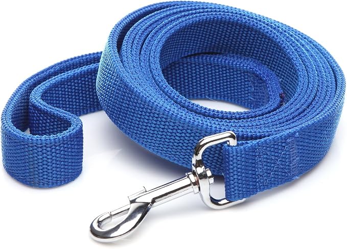 Strong Nylon Dog Leash with 2-Layer, 4 FT/ 6 Feet Long, 1 Inch Wide for Medium Large Dogs (1'' x 5 FT, Blue)