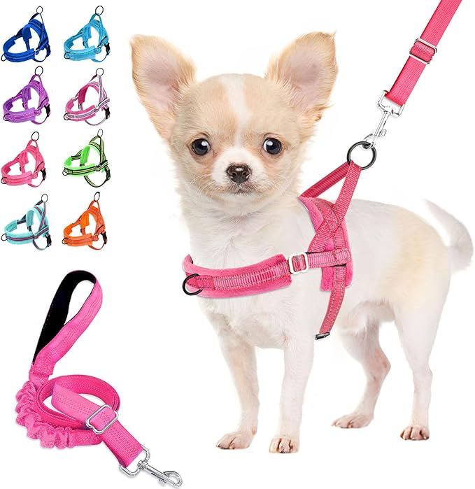 Lukovee No Pull Dog Harness and Leash Set, Soft Padded Small Dog Harness, Neck & Chest Adjustable Reflective Vest Puppy Harness with 4ft Lightweight Anti-Twist Dog Leash for Small Dogs (Pink, Medium)