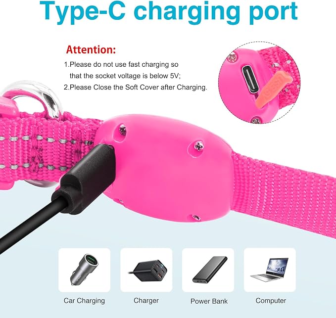 Light Up Dog Collar, Rechargeable USB Collar, Waterproof, Luminous LED Collar, Adjustable, Super Bright, Night Walking for Small Medium Large Dogs, Pink, S